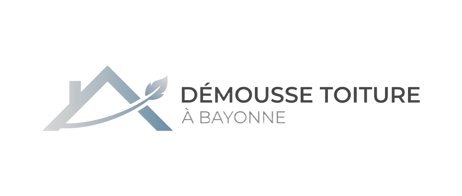 Démoussage Toiture à Bayonne